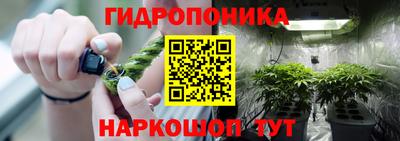 крисы Абинск