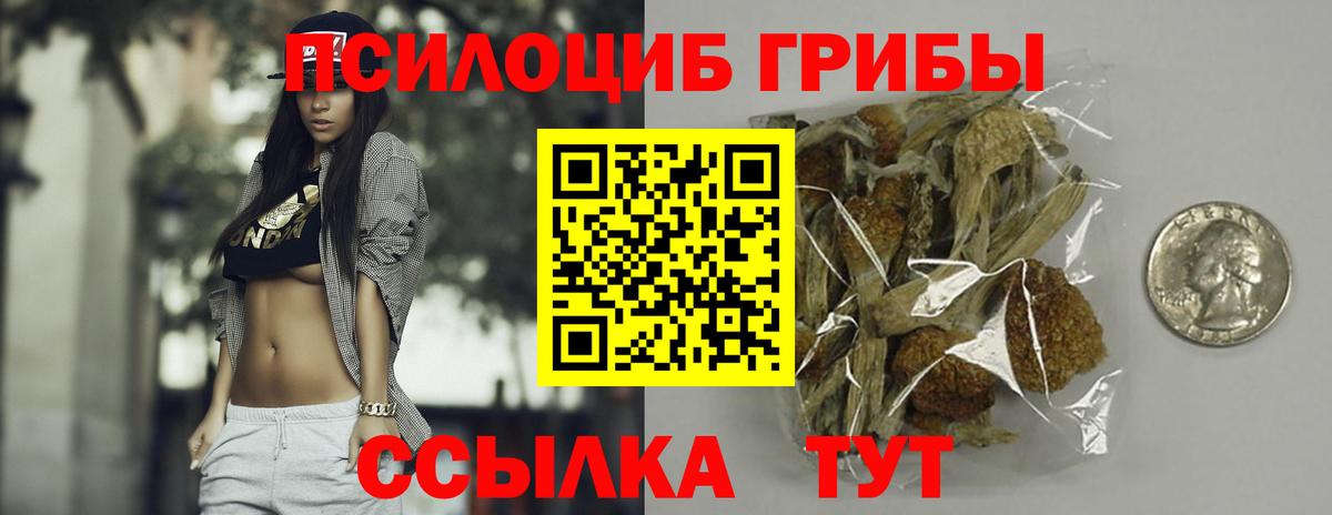 Анжеро-Судженск  Галлюциногенные грибы Cubensis  Вход с VPN 