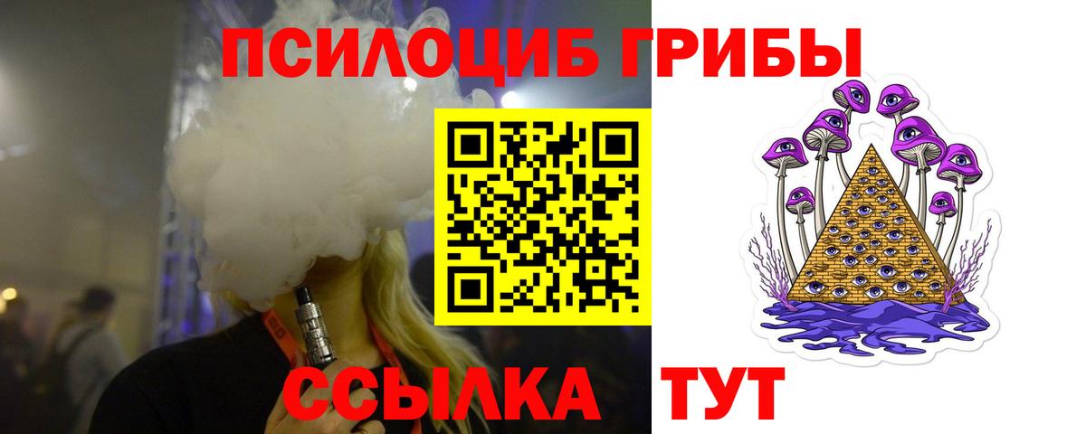 Псилоцибиновые грибы Psilocybe Анжеро-Судженск